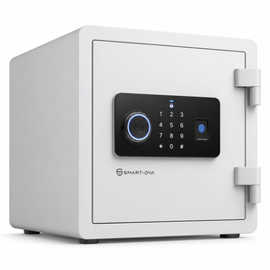 Safes & Storage