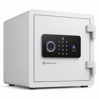 Safes & Storage