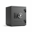 Smart-Ova Citadel Pro Safe